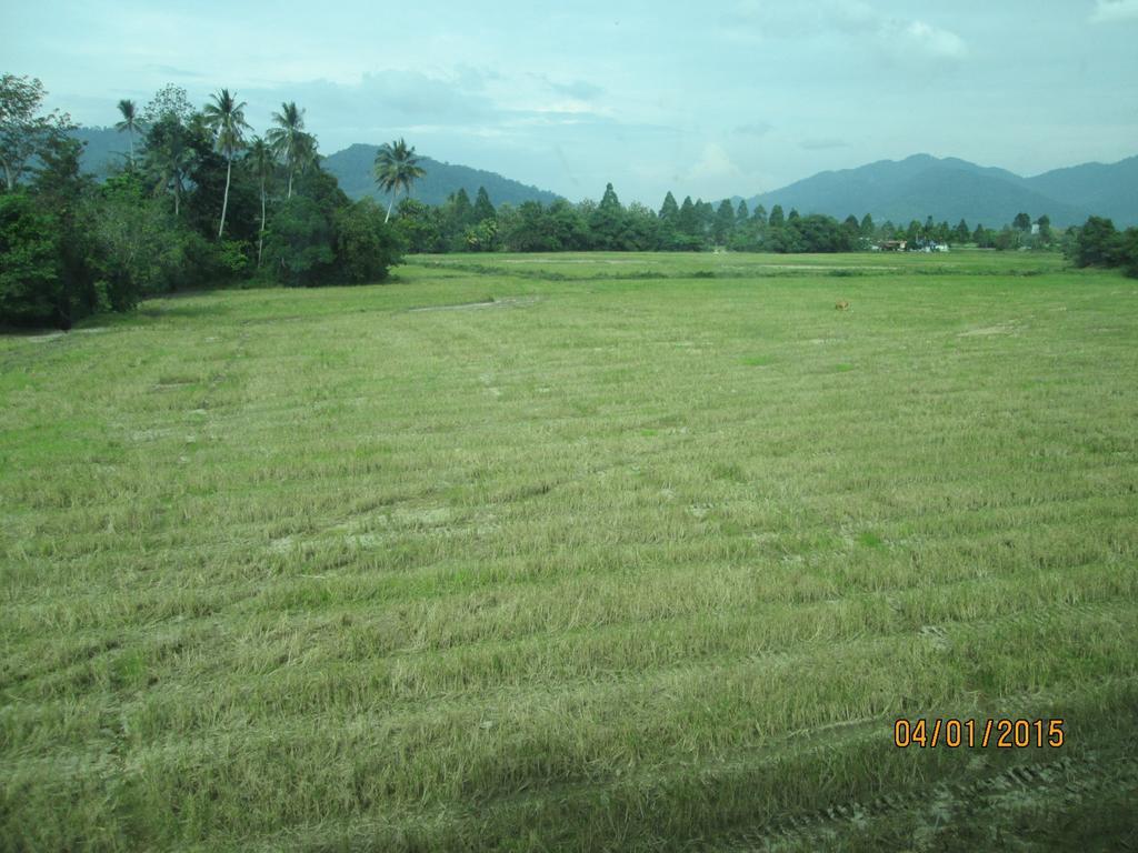 Oyo 275 Senyum Inn Pantai Cenang (Langkawi) Exterior foto
